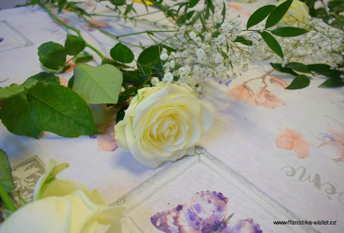 IMG_20250504_101806822