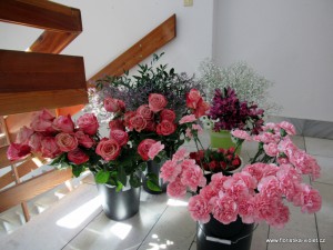 img_0172.jpg