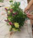 IMG_20250309_132407900u