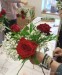 IMG_20250316_113136977