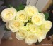 IMG_20250504_101806820