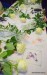 IMG_20250504_101806821-001