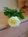 IMG_20250504_105543535