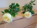 IMG_20250504_110435919